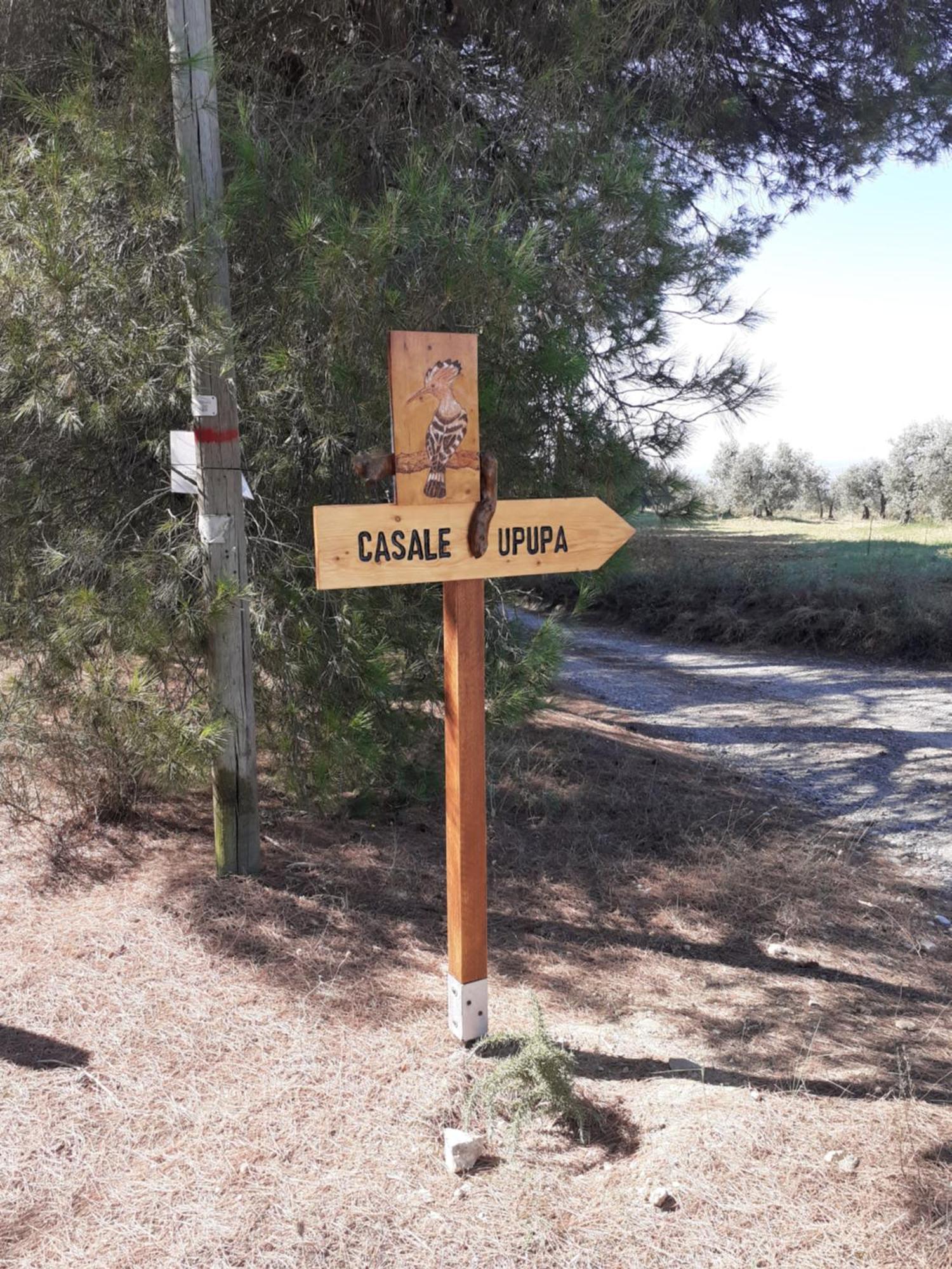 Casale L'Upupa Villa Orvieto Dış mekan fotoğraf