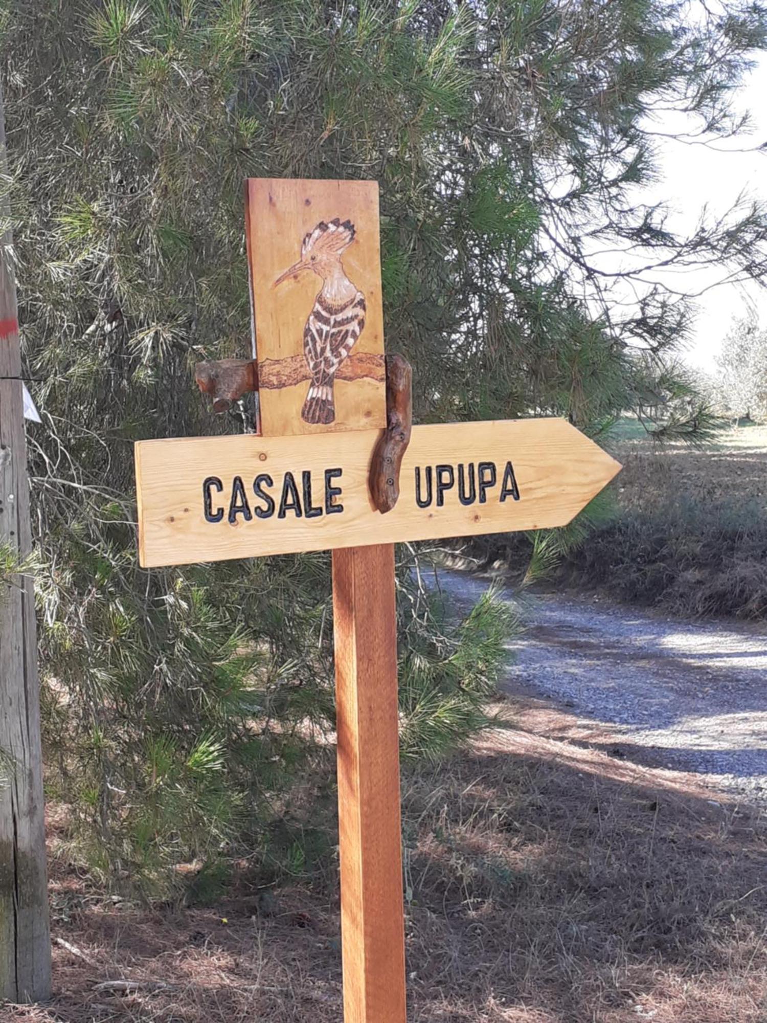Casale L'Upupa Villa Orvieto Dış mekan fotoğraf